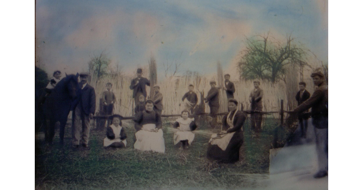 Herbert Boon Male with Withy Workers